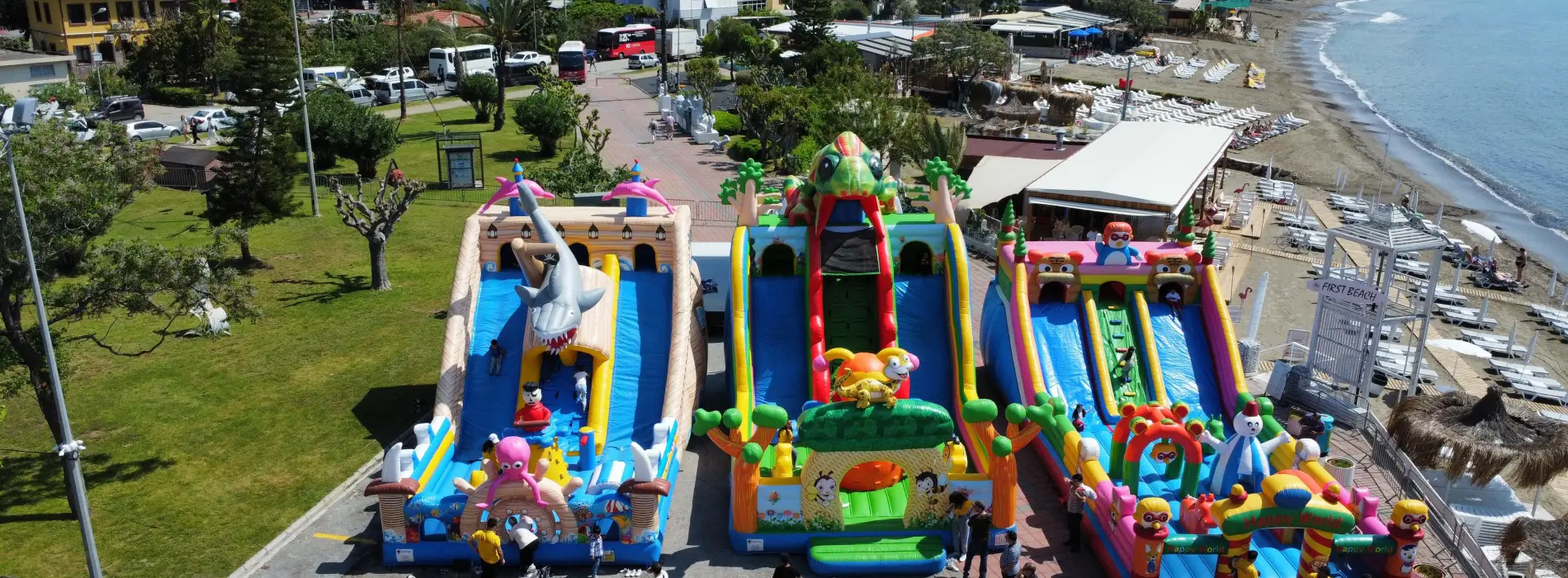 ŞENLİK ORGANİZASYONU 